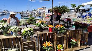Cap d'Agde - Avant-Ports - 2 Juin 2024 - 06